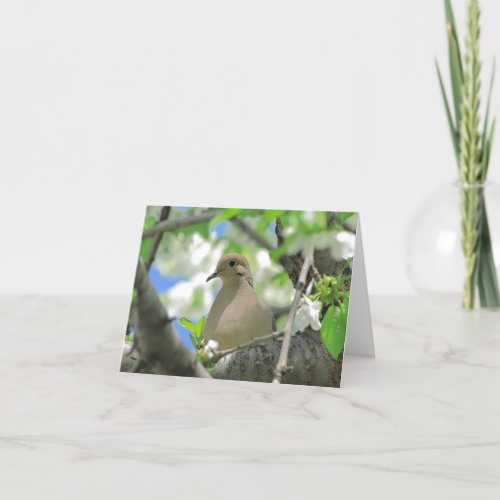 Mourning Dove Greeting or Note Card 81