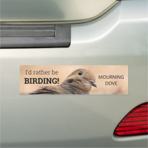 Mourning Dove Head Portrait Bird Photo Birding Car Magnet