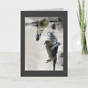 Mourning Dove Holiday Card