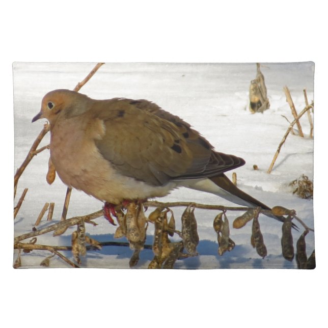 Mourning Dove in Snow Photo Cloth Placemat (Front)