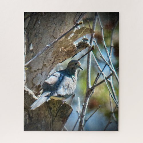 Mourning Dove Jigsaw Puzzle