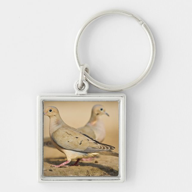 Mourning Dove Keychain (Front)