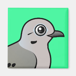 Mourning Dove Square Magnet