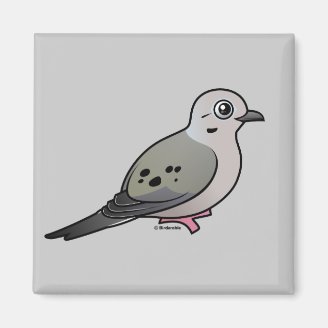 Mourning Dove Square Magnet