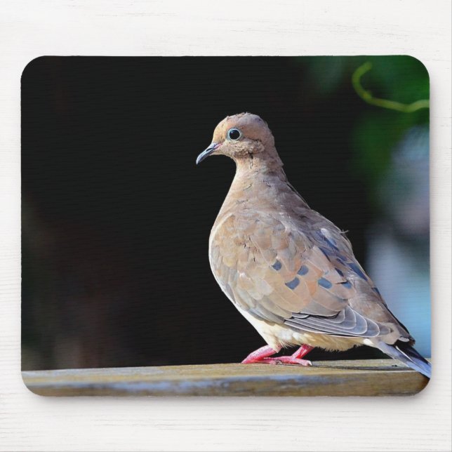 Mourning Dove Mouse Pad (Front)