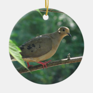 Mourning Dove ~ ornament