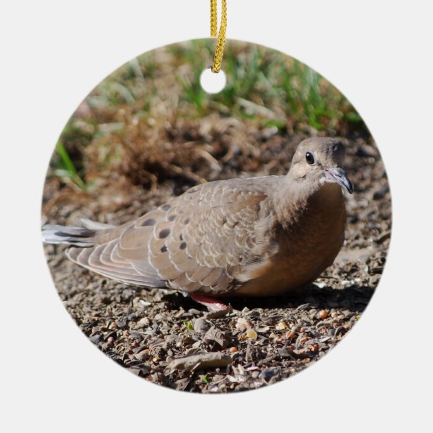 Holiday Pet Gifts Mourning Doves Bird Porcelain Christmas Ornament 