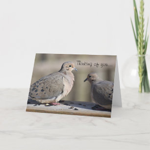 Mourning dove photo card