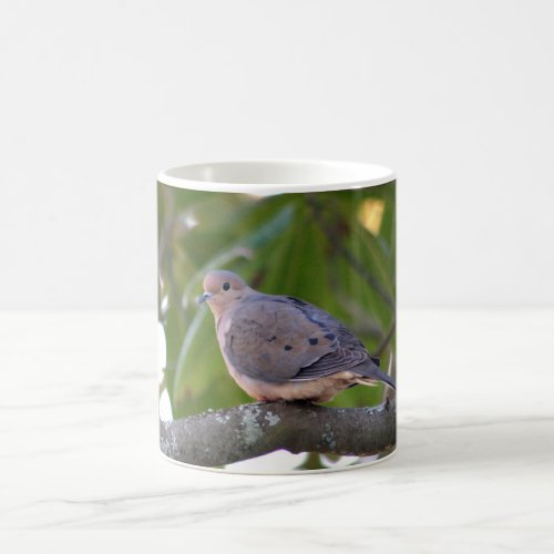 Mourning Dove Photo Coffee Mug