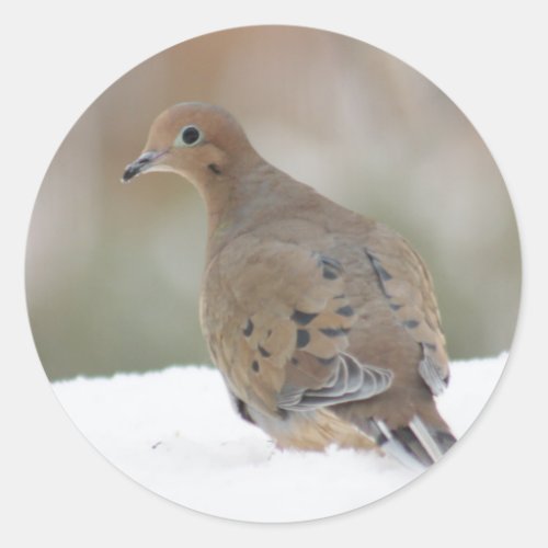 Mourning Dove photo on Personalized Round Stickers