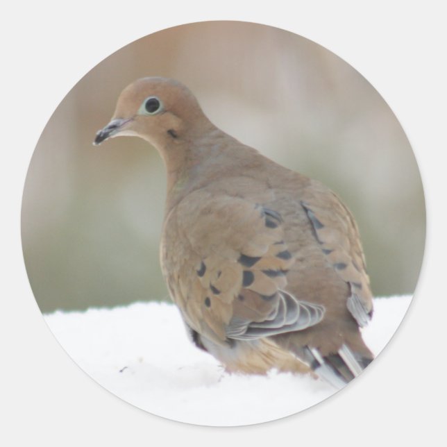Mourning Dove photo on Personalized Round Stickers (Front)