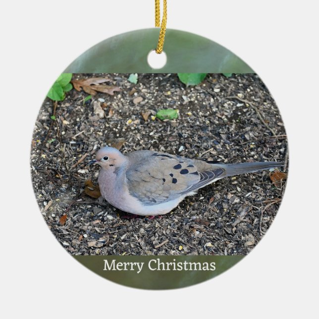 Mourning Dove Photo Ornament  (Front)
