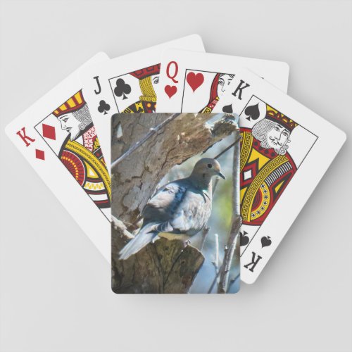 Mourning Dove Playing Cards