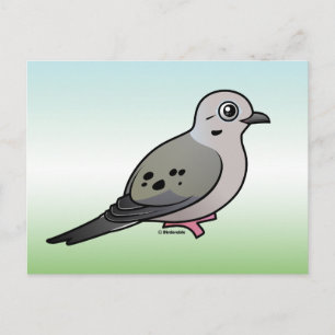 Mourning Dove Postcard