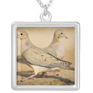 Mourning Dove Silver Plated Necklace