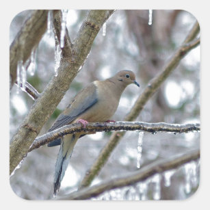 Black Ribbon with Dove Awareness Sticker