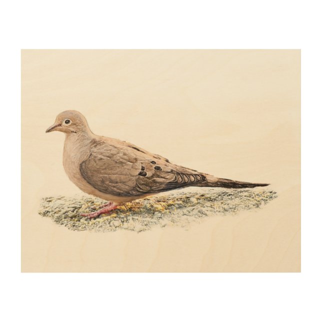 Mourning Dove Wood Wall Decor (Front)