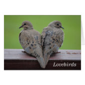 Mourning Doves (Front Horizontal)
