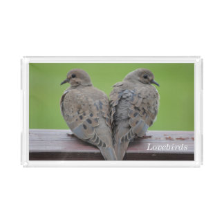 Mourning Doves Acrylic Tray