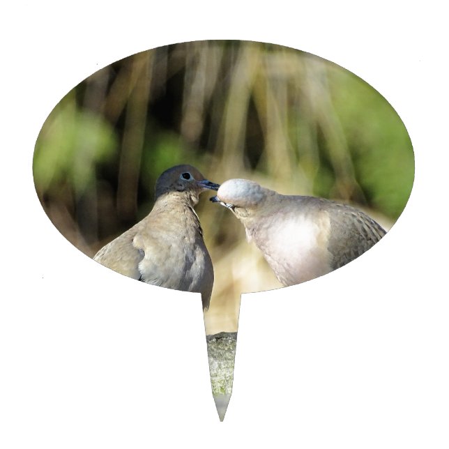 Mourning Doves Cake Topper (Front)