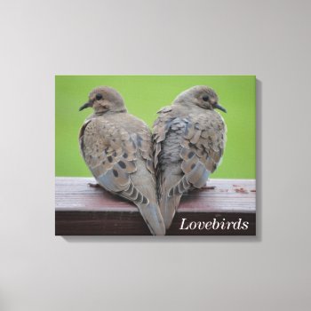 Mourning Doves Canvas Print by birdsandblooms at Zazzle