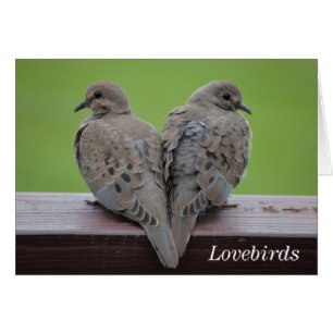 Mourning Doves Cards