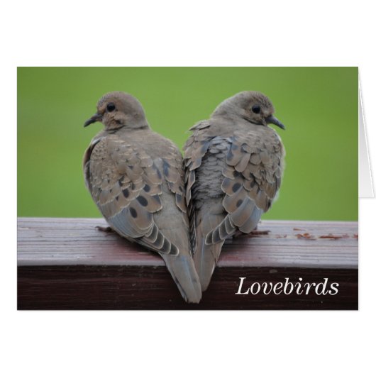 Mourning Doves Cards (Front Horizontal)