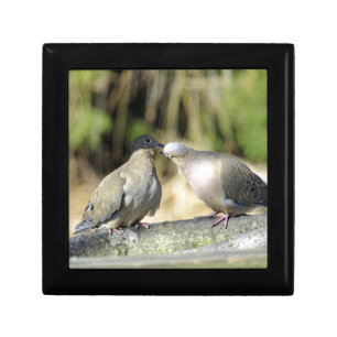Mourning Doves Gift Box