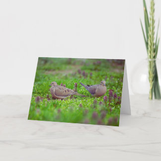 Mourning Doves in Grass Loss of Twin Sympathy Card