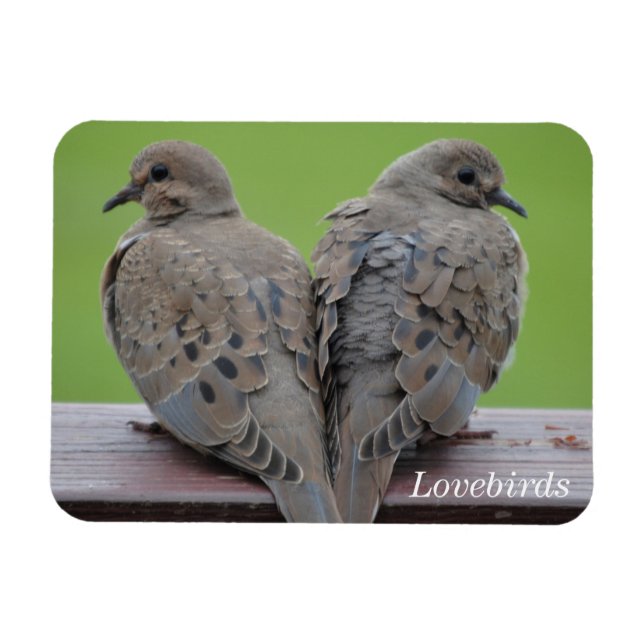Mourning Doves Magnet (Horizontal)