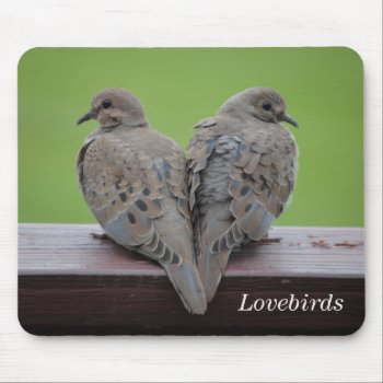 Mourning Doves Mouse Pad by birdsandblooms at Zazzle