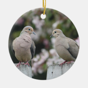 Mourning Doves Photo Ceramic Ornament