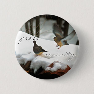Mourning Doves Photo Pinback Button
