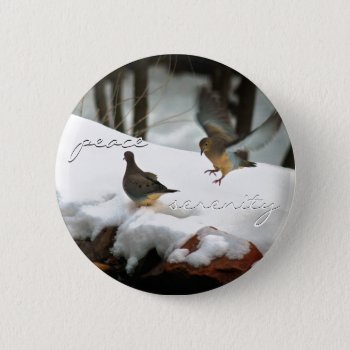 Mourning Doves Photo Pinback Button by Vanillaextinctions at Zazzle