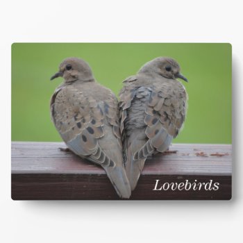 Mourning Doves Plaque by birdsandblooms at Zazzle