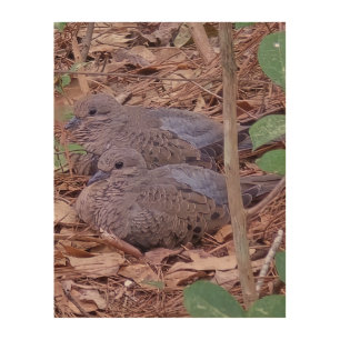 Mourning doves wood wall art