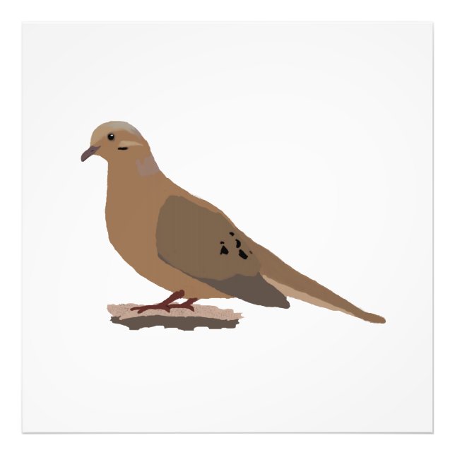 Mourning, Love or Turtle Dove Digitally Drawn Bird Photo Print (Front)