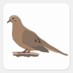 Mourning, Love or Turtle Dove Digitally Drawn Bird Square Sticker