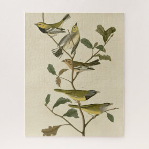 Mourning, Other Warblers, Audubon Birds of America Jigsaw Puzzle