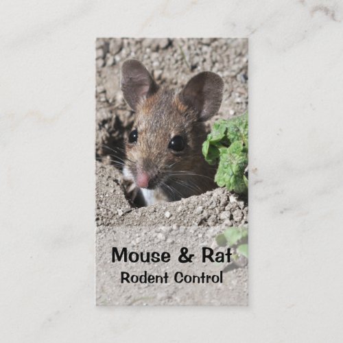 Mouse and rat pest control business card