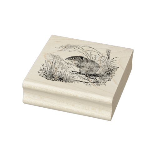 Mouse Authentic Vintage Rubber Art Stamp