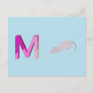 Mouse Card