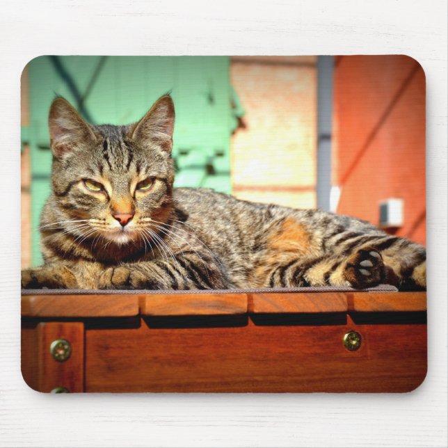 Mouse carpet tigrated on garden table mouse pad (Front)