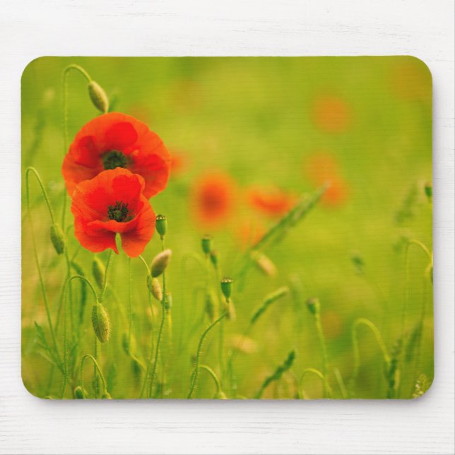 Mouse carpets, spring and poppy flowers mouse pad (Front)
