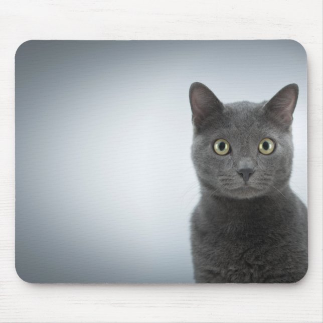 Mouse cat mouse pad (Front)
