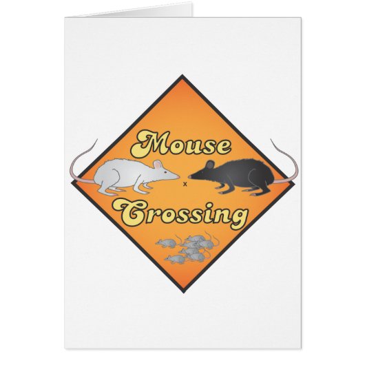 Mouse Crossing (Front)