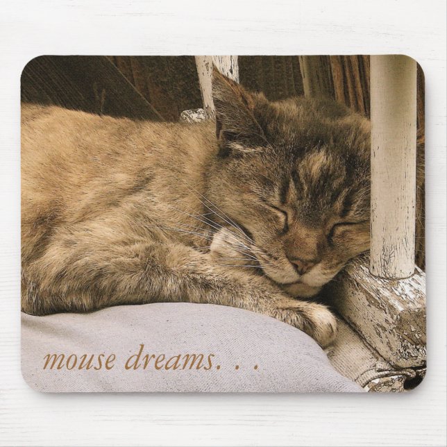 mouse dreams. . . mouse pad (Front)