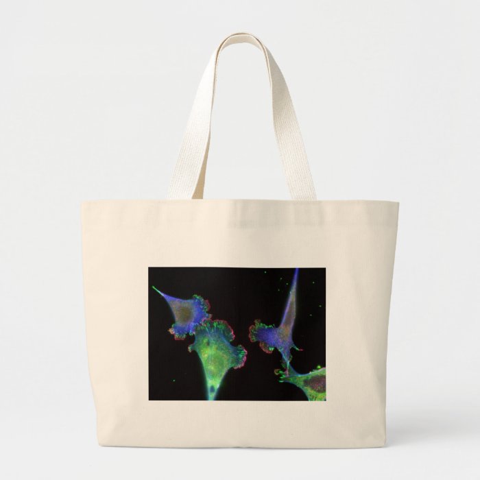 Mouse embryonic fibroblasts tote bags