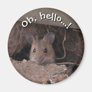 Mouse in Hole Magnet