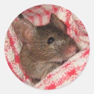 Mouse in the House Classic Round Sticker